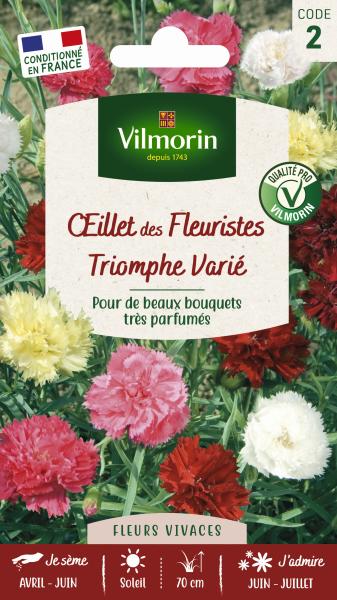 Fleurs - Œillet des Fleuristes Triomphe Varié - PACKAGING_RECTO